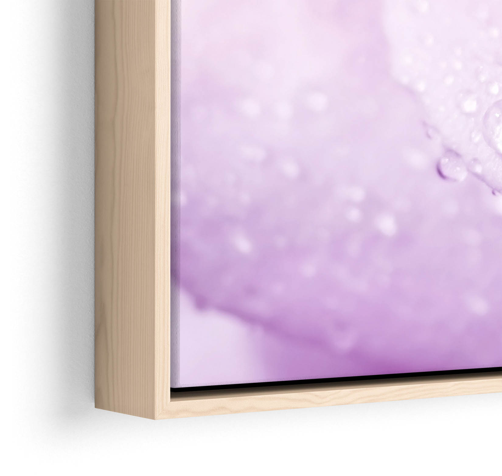 Plum Floral Flower Rose Purple CANVAS FLOATER FRAME Wall Art Square Print - Picture 13 of 13