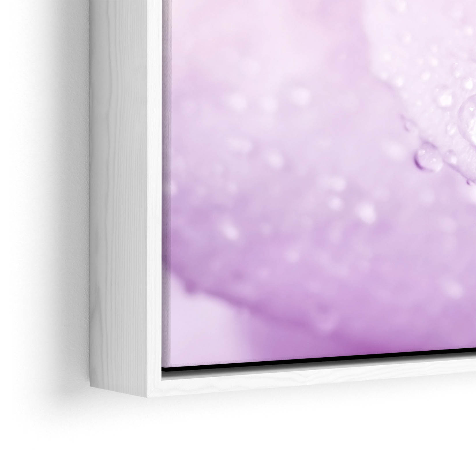 Plum Floral Flower Rose Purple CANVAS FLOATER FRAME Wall Art Square Print - Picture 7 of 13