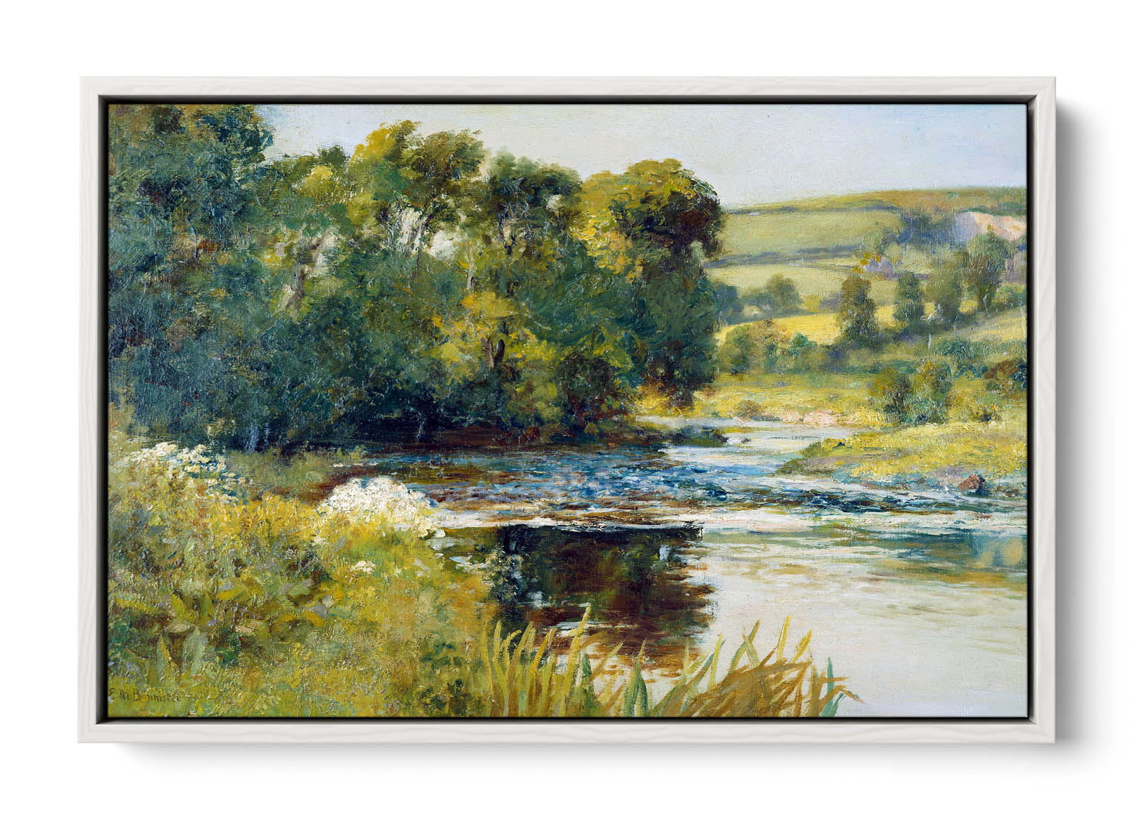 Picture 6 of 13