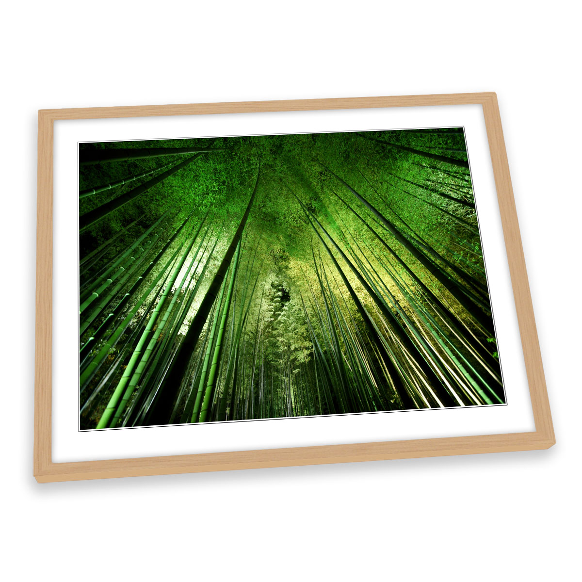 Light Green Framed Art