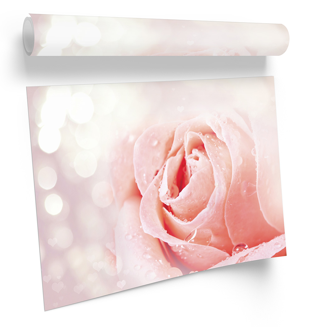 Modern Rose Petals Flower Pink FRAMED ART PRINT Picture Poster Artwork