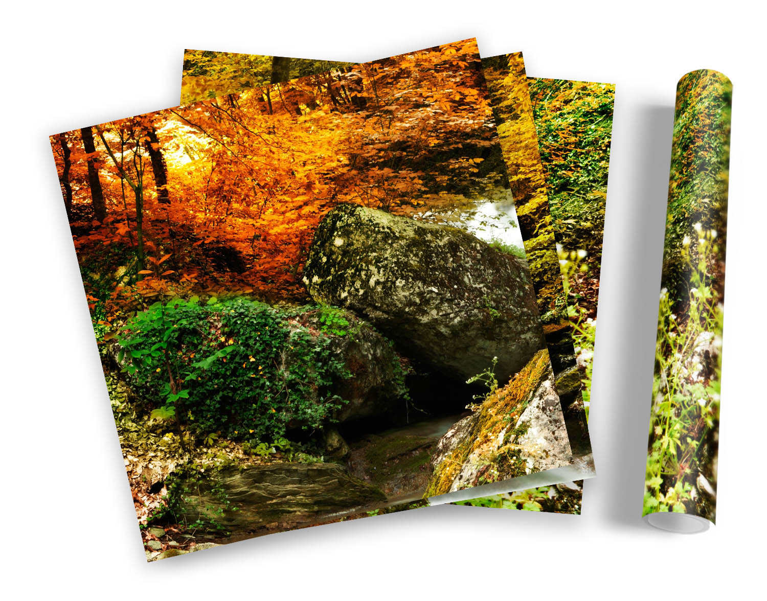 Otoño Bosque Paisaje Cascada JUEGO DE IMPRESIONES ARTÍSTICAS ENMARCADAS Póster Cuadrado de Imagen - Imagen 5 de 5