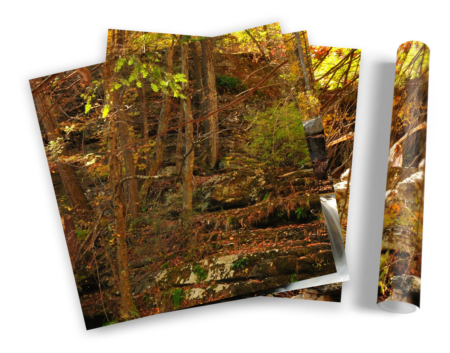 Forest Woodland Waterfall River FRAMED ART PRINTS SET Picture Poster Square - Picture 5 of 5