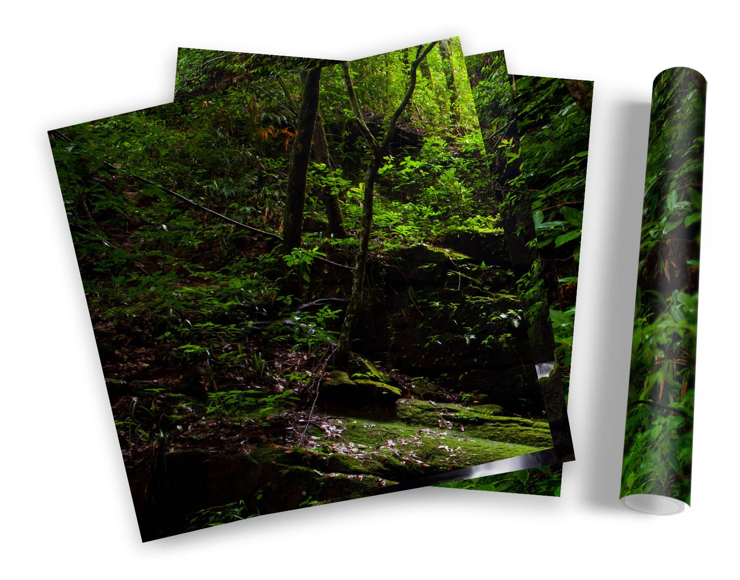 Paesaggio Foresta Fiume Cascata SET STAMPE ARTISTICHE INCORNICIATE Quadro Poster Quadrato - Foto 5 di 5